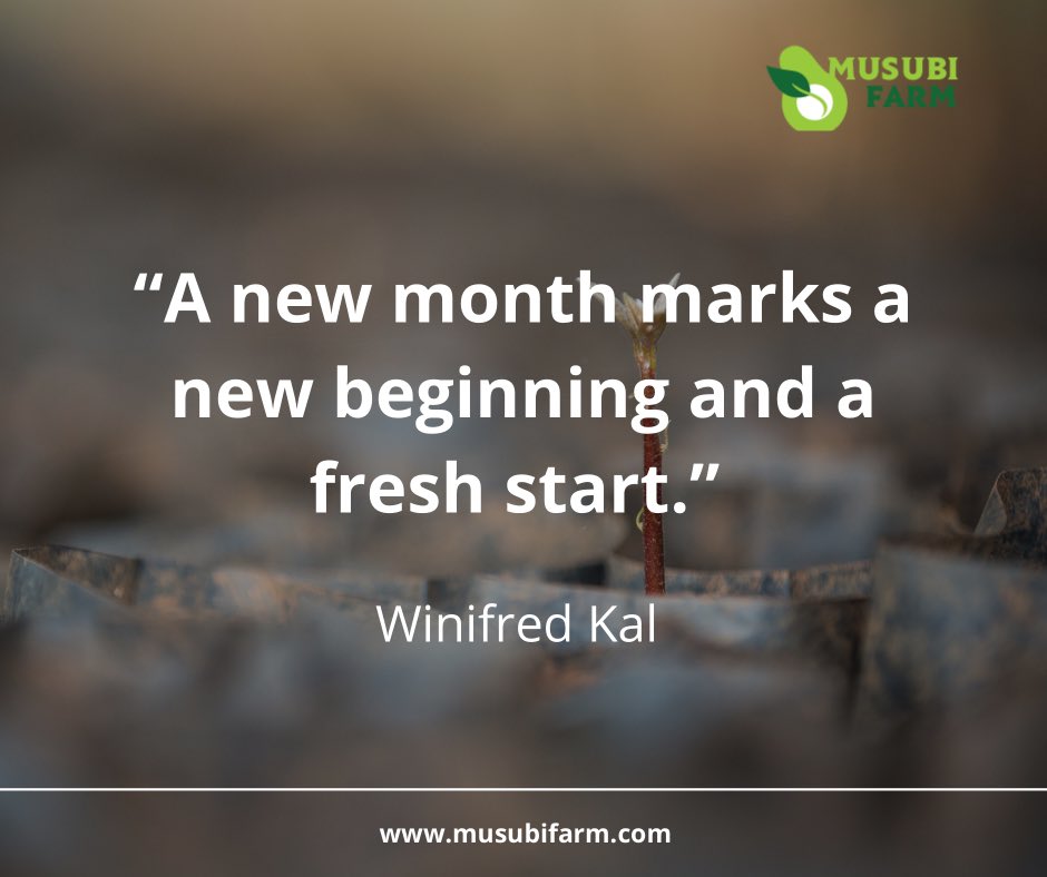 musubifarmug's tweet photo. Hereโs to a new month with endless possibilities and opportunities. Emerge positive.
#NewMonth #MusubiFarm https://t.co/rBDA9OPtGl