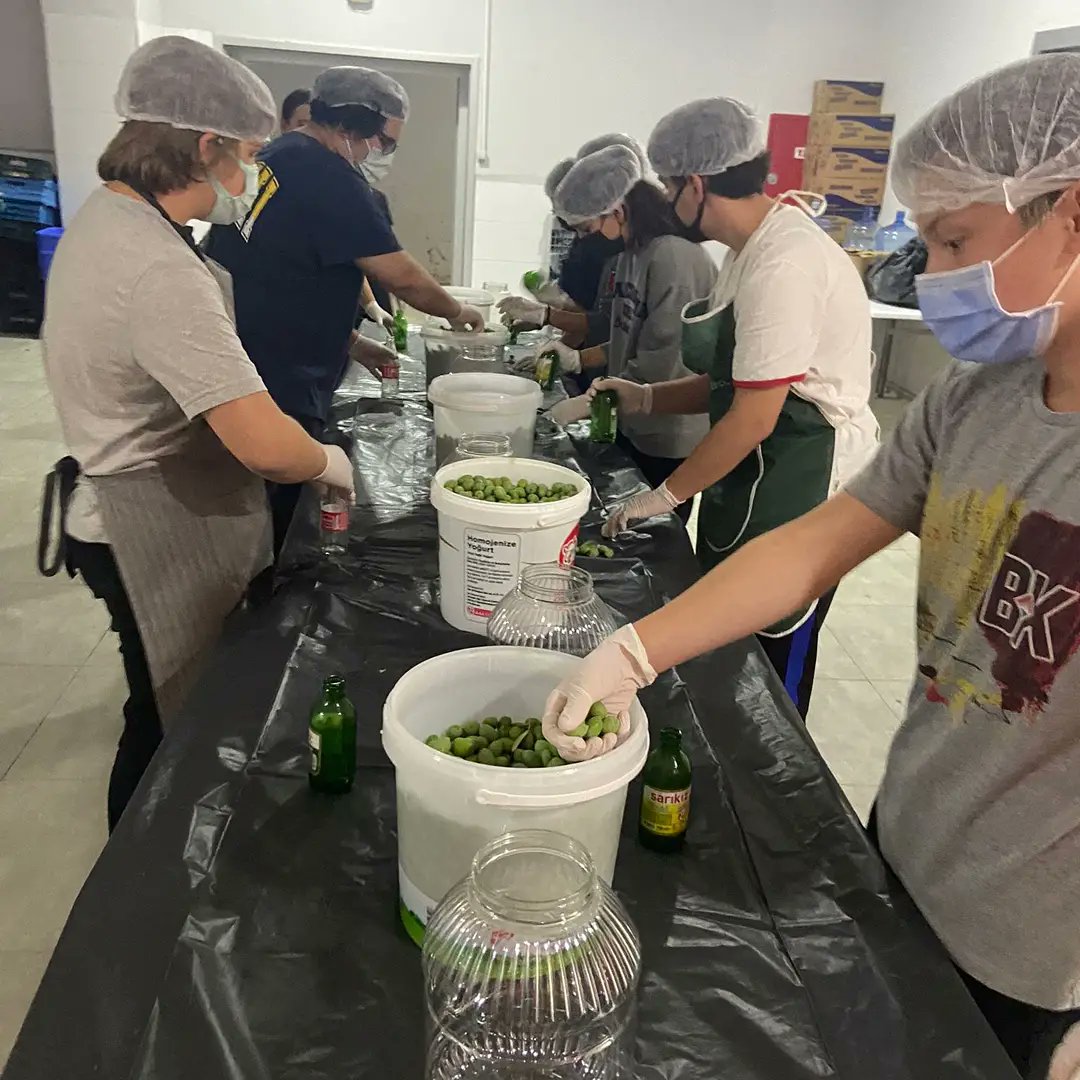 Master 6 doğal yaşam kulübü 9. ve 10. Sınıf Öğrencilerimiz; eğitmenleri eşliğinde doğada zaman geçirerek , zeytin ağaçlarını gözlemlediler, zeytin meyvesinin üretimini  nitel makroskobi yaklaşımlarıyla dokunup hissederek öğrendiklerini uyguladılar.