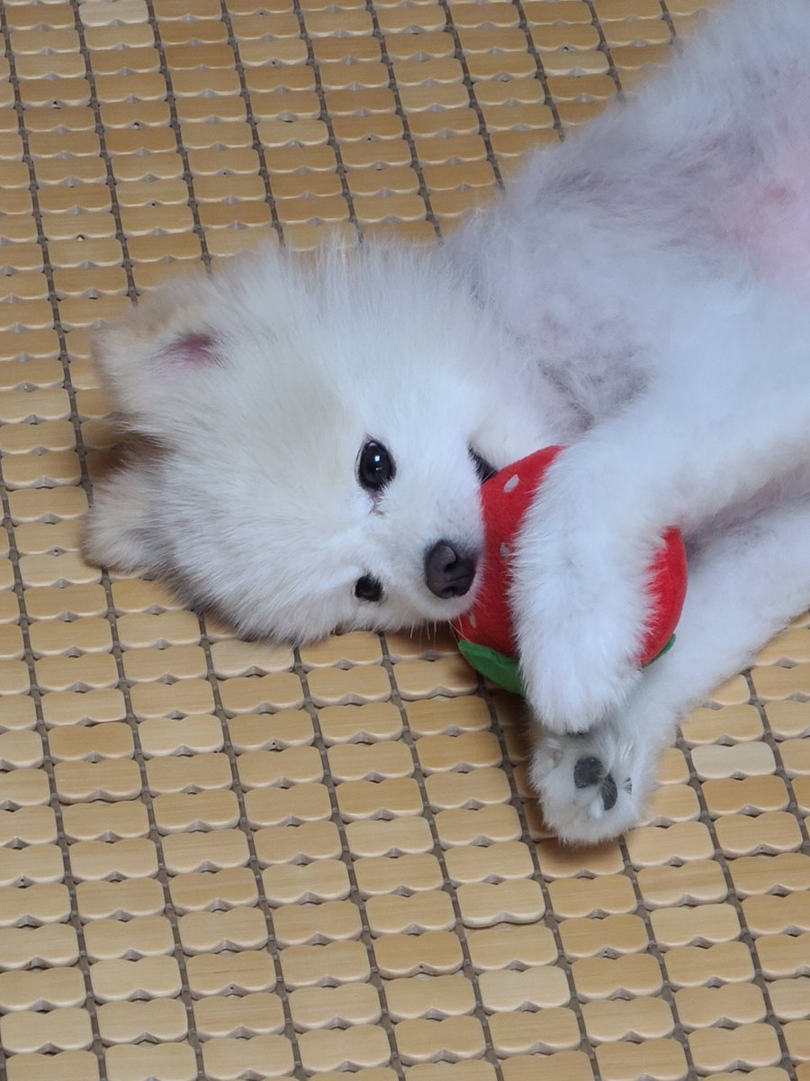 bean_archive's tweet photo. 꺄 https://t.co/dRe1EFst3h
