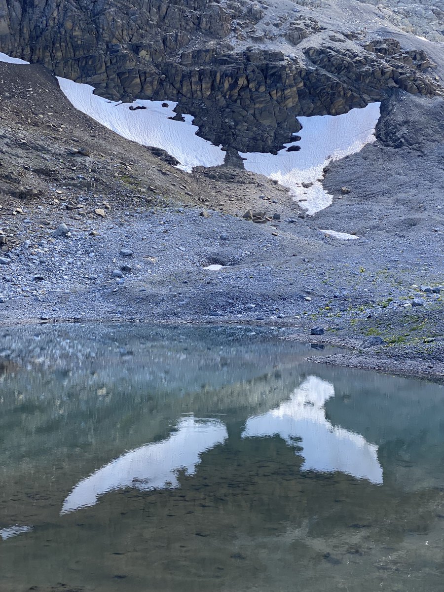 themullerfiles's tweet photo. Angel wing reflections & flower details in the Swiss Alps.
#lenksimmental #swissmountains #naturephotography #bergliebe #swisshiddengems https://t.co/XeDWRzO0Jg