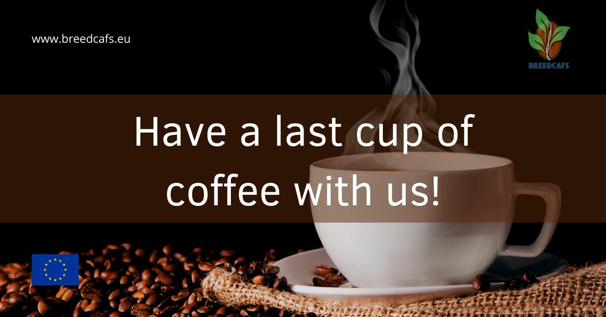 ☕ With the end of September, the end of BREEDCAFS Project also came. But today, 1st October it’s the #InternationalCoffeeDay so… we leave you with a final cup of #coffee!
 bit.ly/3izWiwq