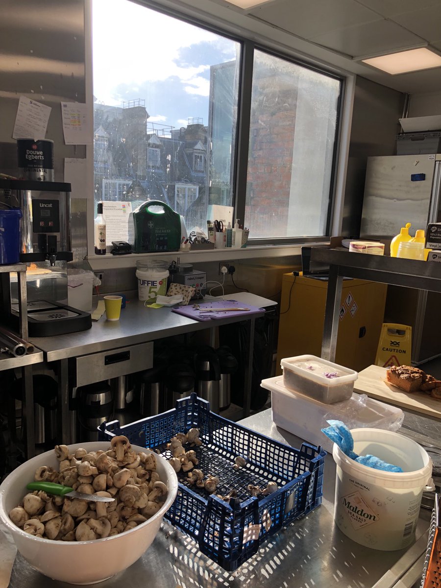 Beautiful day in sunny Glasgow ⁦<a href="/studiovenues/">thestudio...</a>⁩ ☀️ 🍄