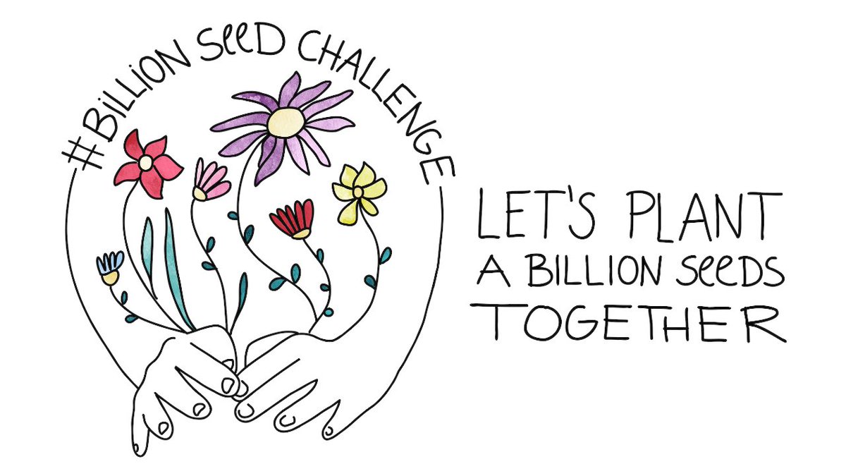 We have all relied on our green spaces to give us space and a breath of fresh air over the past 18 months. That's why we want to plant a billion seeds by the 30th October! We've made it easier with a half price offer on all seeds in-store. #BillionSeedChallenge @togethercoalit