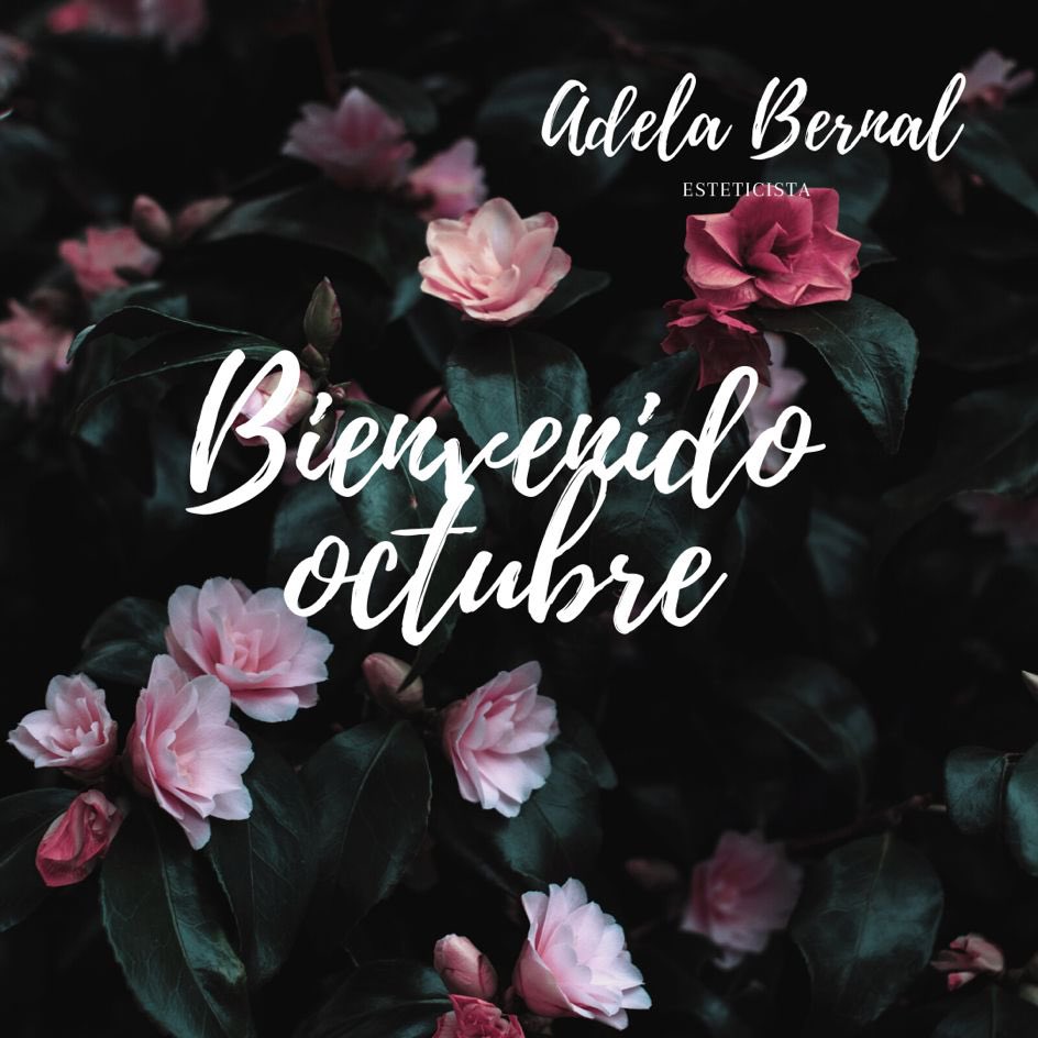 AdelaBernal_'s tweet photo. 🌺 Bienvenido Octubre. 

•
•
•
Escríbenos, vía Whatsapp
📱610 38 09 64

Nos adaptamos a tu disponibilidad horaria.

#AdelaBernal #estetica #sevilla https://t.co/0fPcFyu4rC