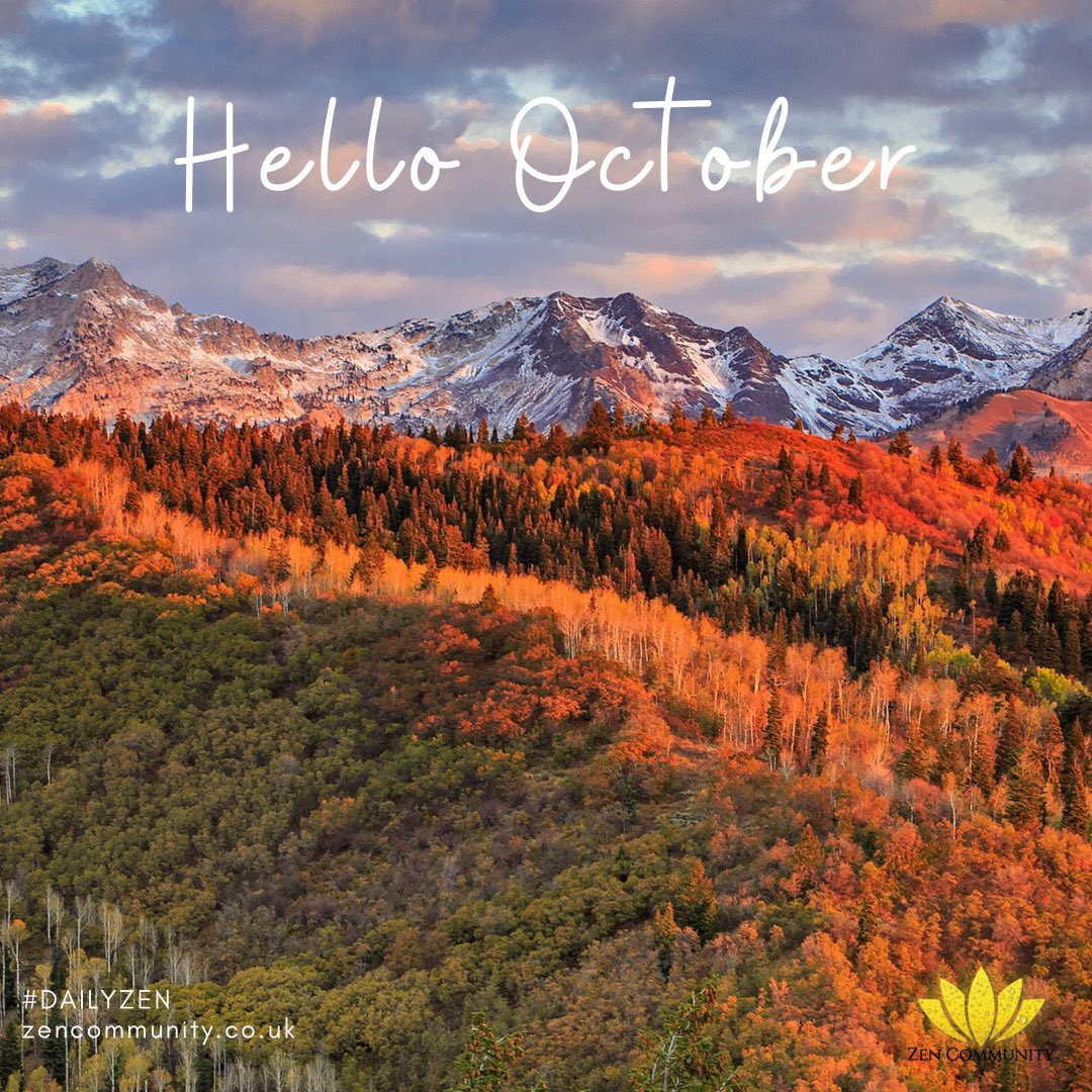 zencommunity_'s tweet photo. The secret of change is to focus all of your energy. Not fighting the old but building the new 💖🙏💕 #October1st 
#1stofthemonth #newmonth #newgoals #freshperspective #buildingyourfuture #autumn https://t.co/fLVTtAcDQZ