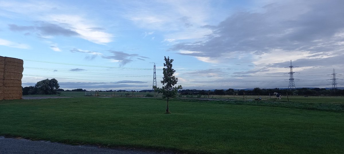 EmilyWardxx's tweet photo. What a great way to start the day. Nature at its finest,cold brisk morning but Im still holding out wearing shorts. I refused to give into autumn just yet. #OT #natureOT #OccupationalTherapy https://t.co/1wsL5thtm3
