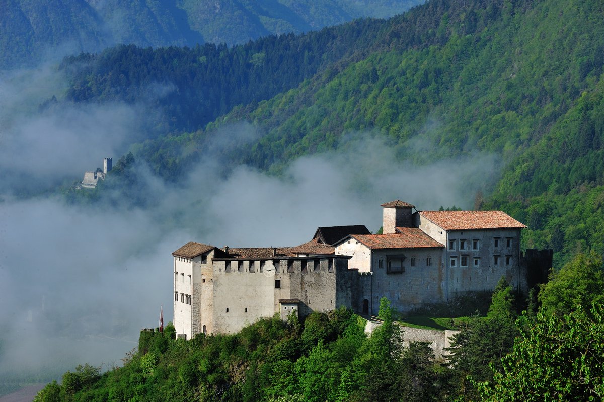 ProvinciaTrento's tweet photo. 🏰🖼️#domenicalmuseo: il 3⃣ ottobre ingresso #gratuito al Castello del #Buonconsiglio e nelle sedi periferiche di Castel #Thun, Castel #Caldes, Castel #Beseno e Castel #Stenico, necessario #greenpass, prenotazione on line o telefonica obbligatoria 
INFO👉https://t.co/7FHFjFo07H https://t.co/jJr1wnRqLk