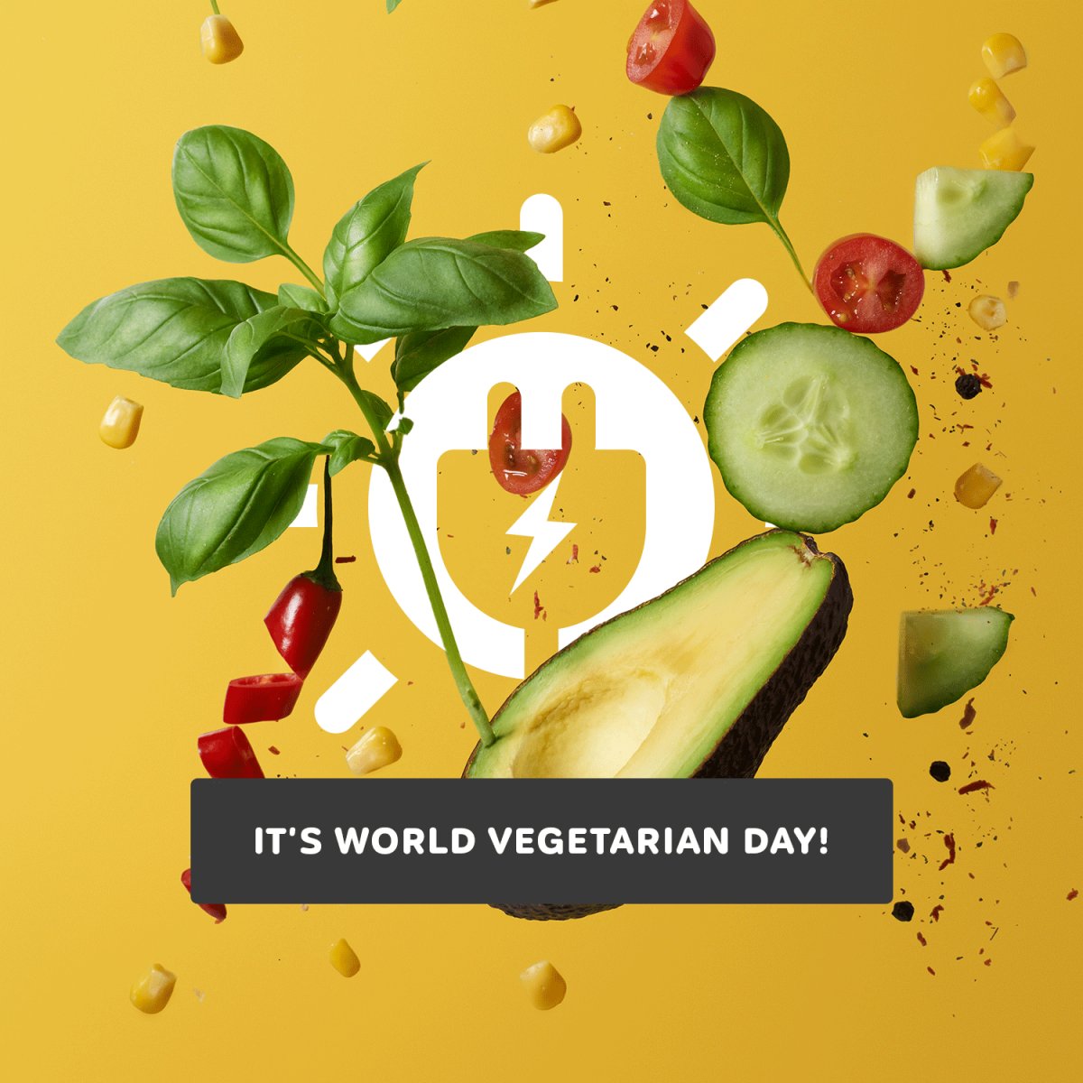 SolarCentric_'s tweet photo. It's World Vegetarian Day!

Whether you're an avid veggie or just fancy meat free Monday's, lay off the meat for just one day and help to: 

🌍Reduce greenhouse gases
🐄Save animals
♥Reduce heart disease! 

#WorldVegetarianDay #SolarPV #RenewableEnergy https://t.co/i4J7OAo6u3