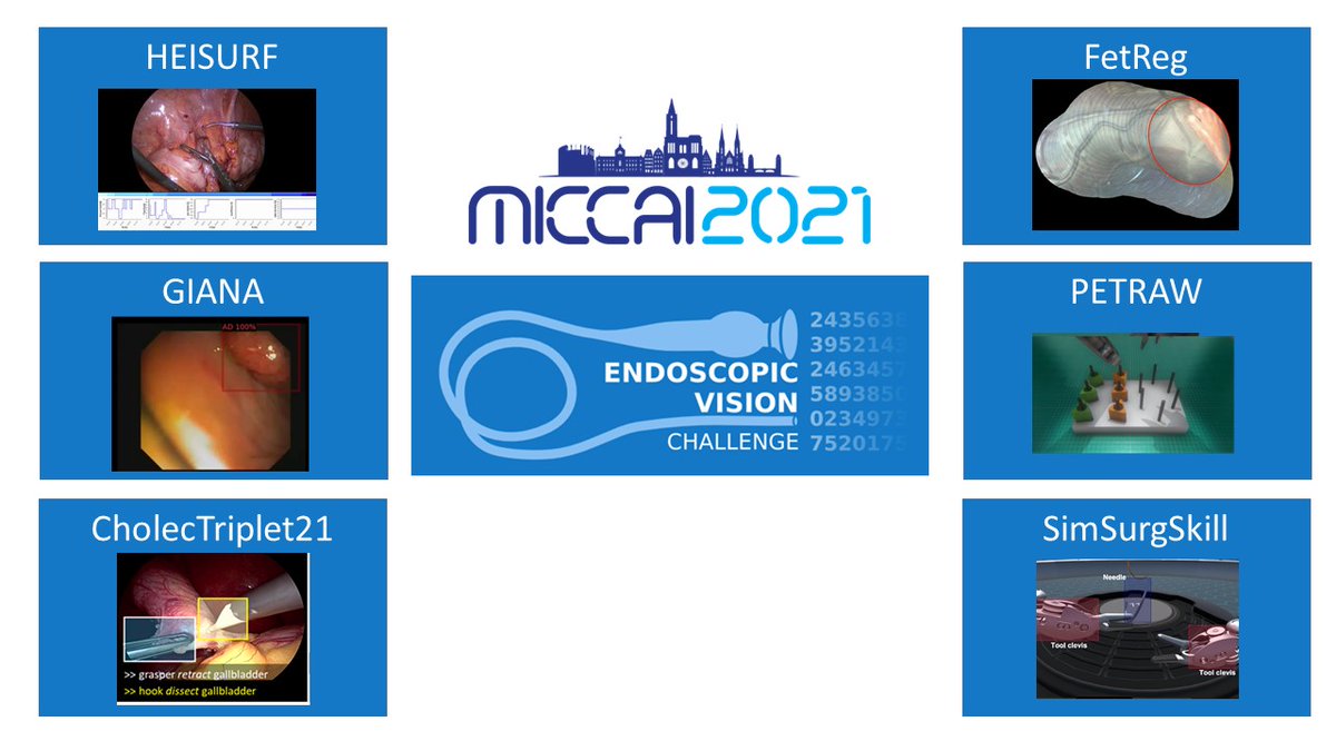 SpeidelStefanie's tweet photo. #EndoVis starts soon with 6 exciting sub-challenges, thanks to all participants for submitting results and our award sponsors, join us today @lena_maierhein @DanStoyanov @SophiaBano @CammaLab @jbernoz @Arnaud_Huaulme @MICCAI_Society #BiomedicalChallenges #SurgicalDataScience https://t.co/FpS7B6OuI8