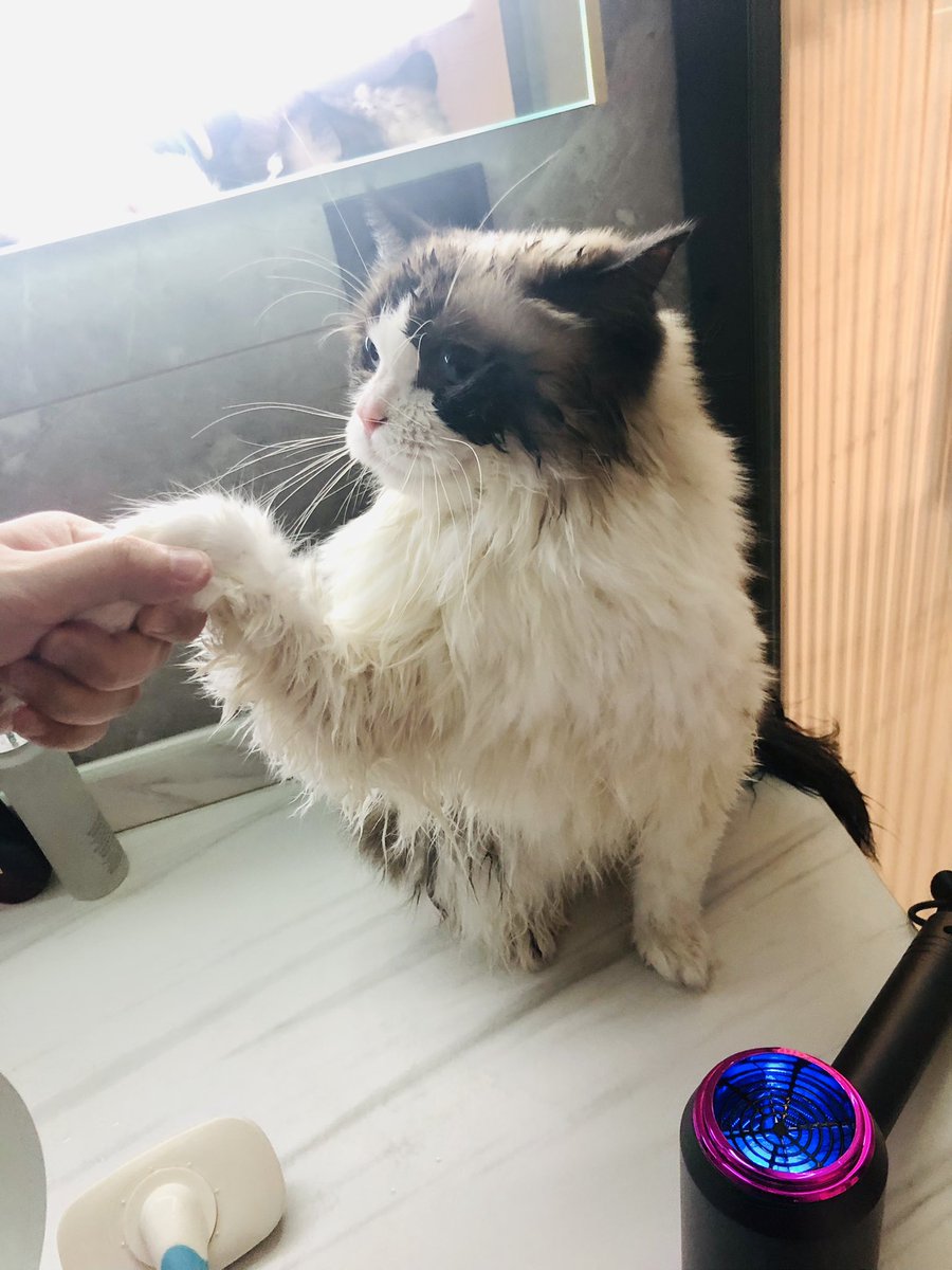 十一第一天，洗了个澡澡 香喷喷。欢迎大家来看俺！