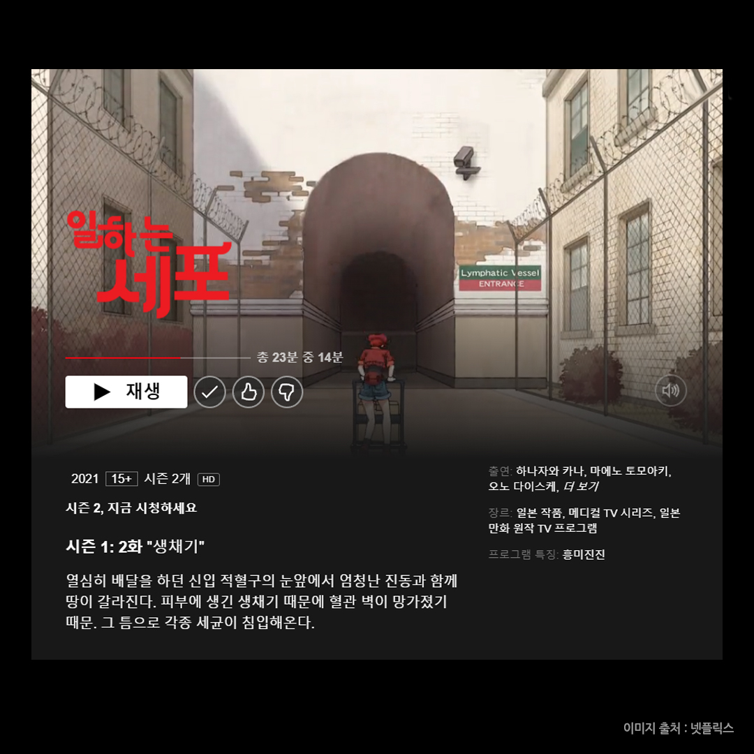 알고 계시죠? 오늘 넷플릭스에 <일하는 세포> 시즌2, <일하는 세포 BLACK> 뜬거🤭 애니 정주행 하시고 <일하는 세포> 6권 완결! <일하는 세포 BLACK>...