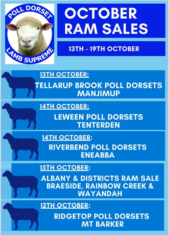 Western Australian Poll Dorset Association tweet media
