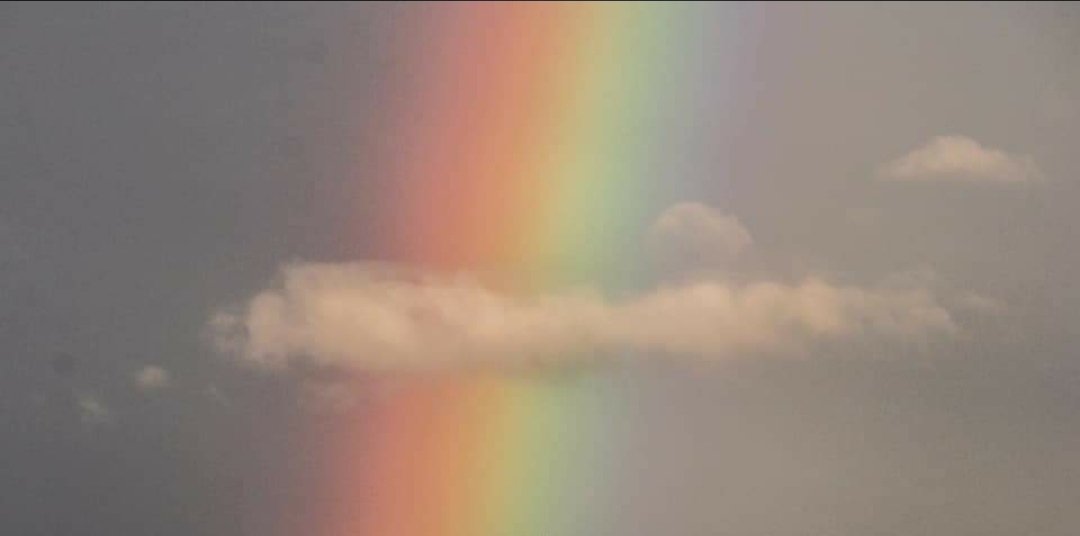 Malay Samani tweet media