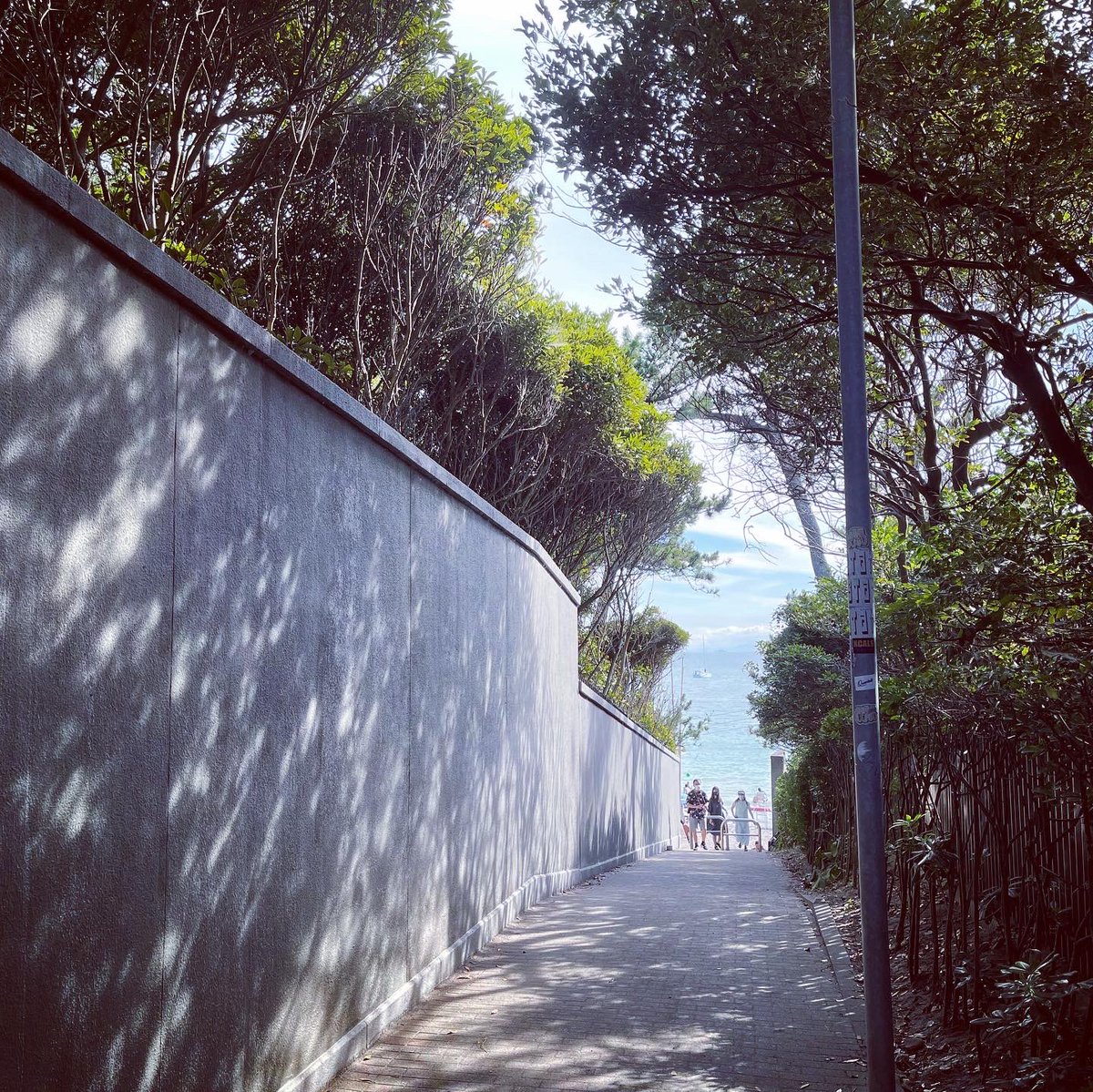 Magnum_Tb's tweet photo. 7月下旬、2年振りにアーシングも兼ねて海に行きましたよ。
世の中でハードルが高いとされる1人海水浴も、沖に出たら天国でしたよ。
沖から入道雲の成長を観ながら、束の間、ぷかぷか浮いてましたよ。
#gotobeach
#hayama
#isshikibeach
#solo https://t.co/bEw8dy6XKq