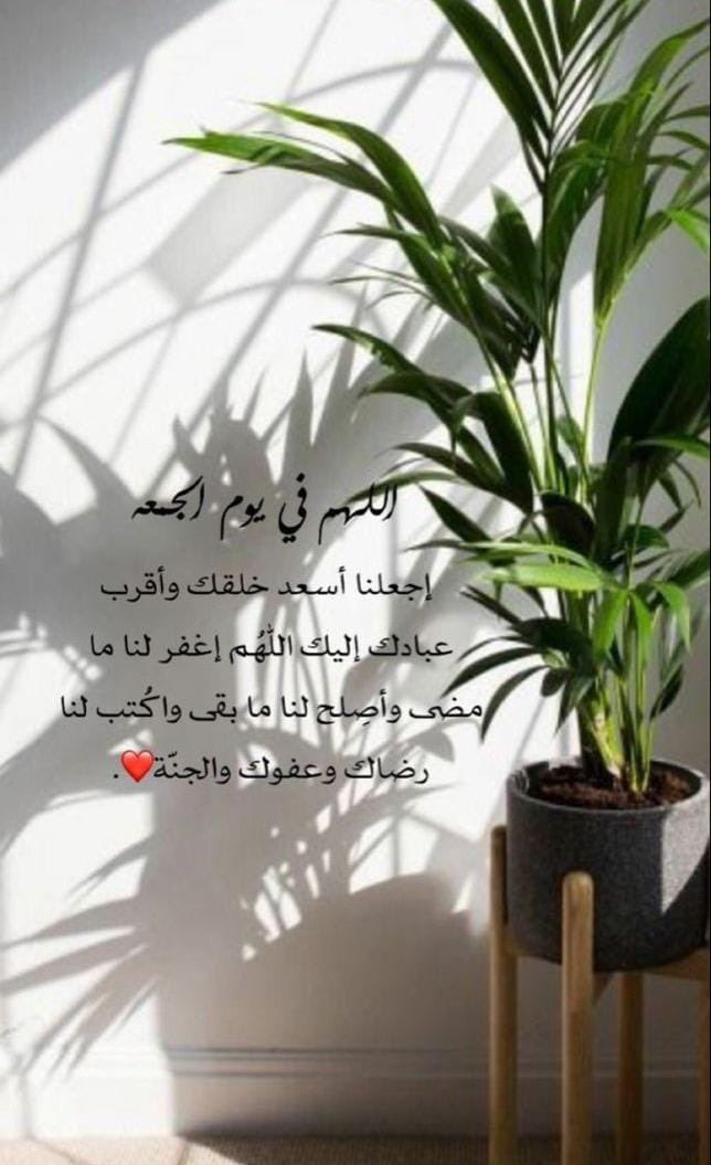 MonaAl3ed's tweet photo. #يوم_الجمعه

سر سعادتك في كل يوم جديد هو في حسنُ ظنك بالذي خلق الحياة وقسِّم الأرزاق وهداك لأسبابها ..

-مساء السعادة والطمأنينة 💕 https://t.co/vBJ0wUBPaE