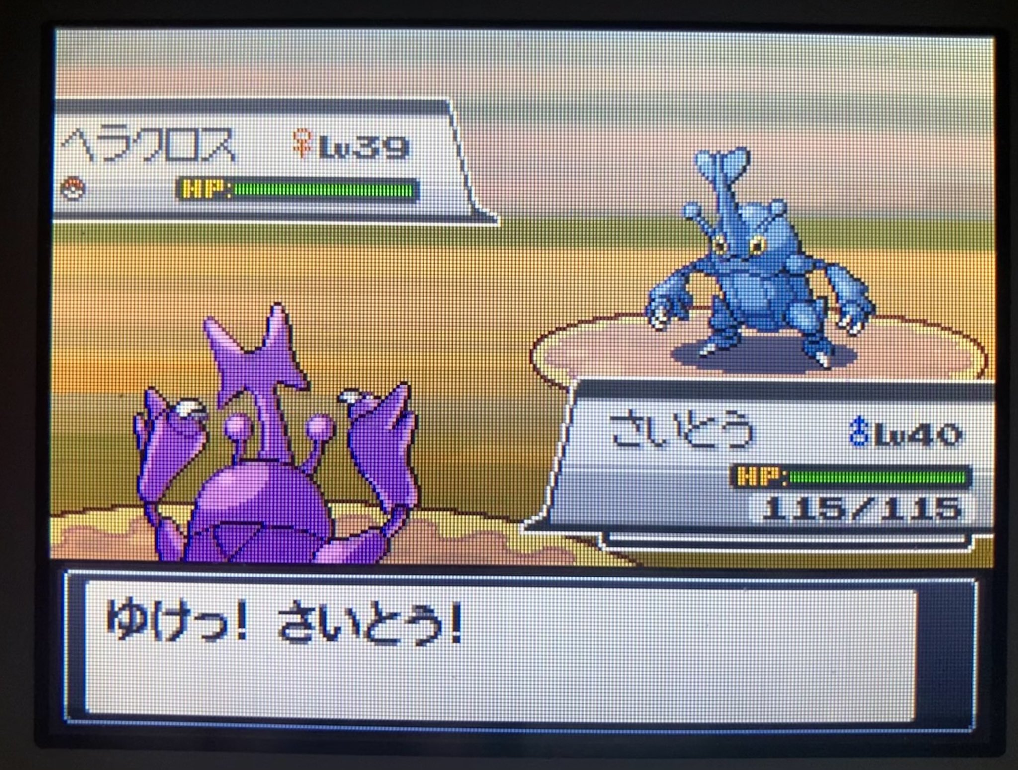 Mareep Fabulousmareep Twitter