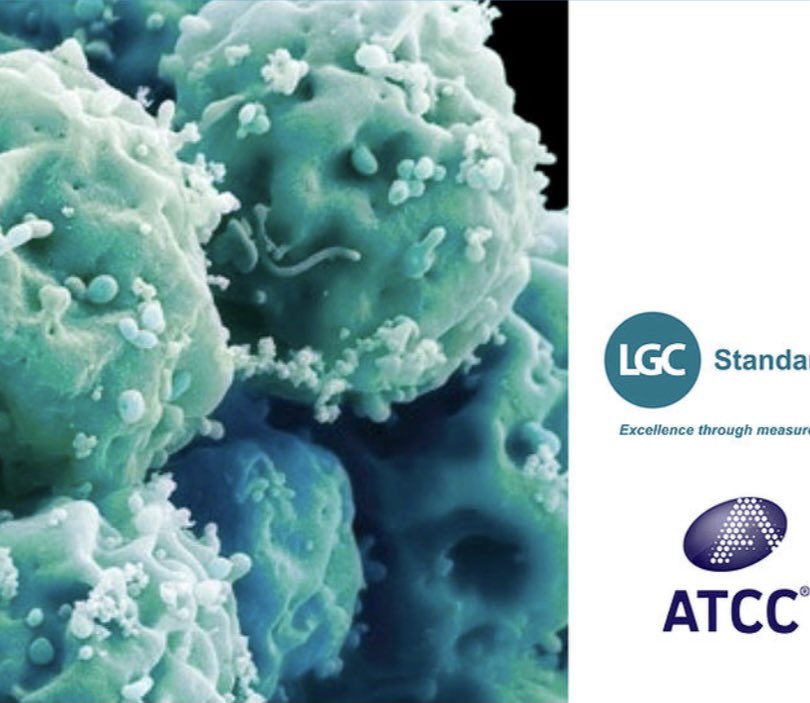 📌Hücre kültürü ürünlerimiz;
- Sarf Malzemeler
- Serum ve Media
- Hücre canlılığı
- Hücre hatları
Geniş ürün yelpazemizle bilimsel araştırma ve geliştirme çalışmalarınızda yanınızdayız🧫🧬