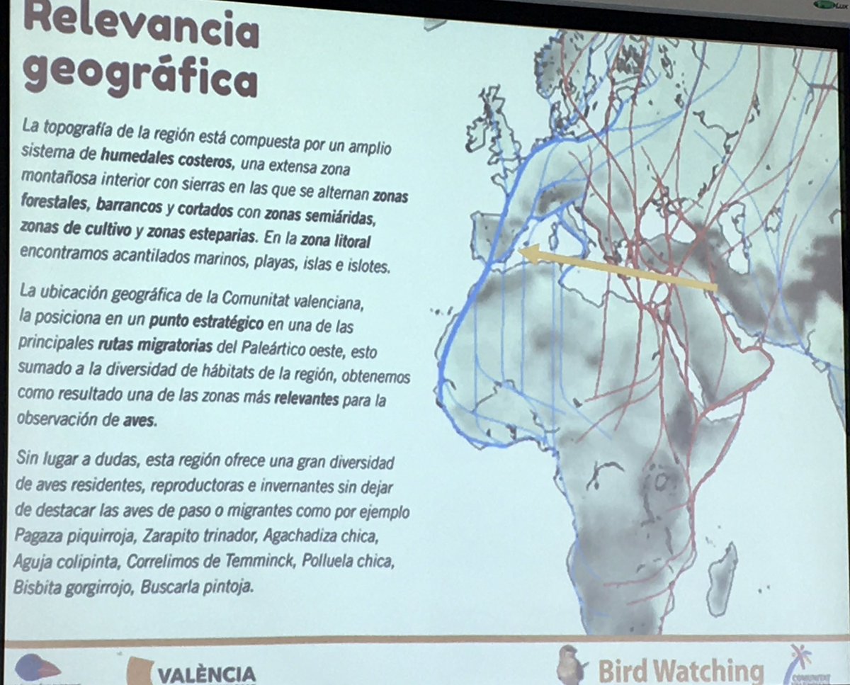 travellingcv's tweet photo. Asistiendo a la jornada de #birdwatching que se realiza hoy viernes en el @centredeturisme  https://t.co/rEySEKf2oy https://t.co/U5cig8Et9z