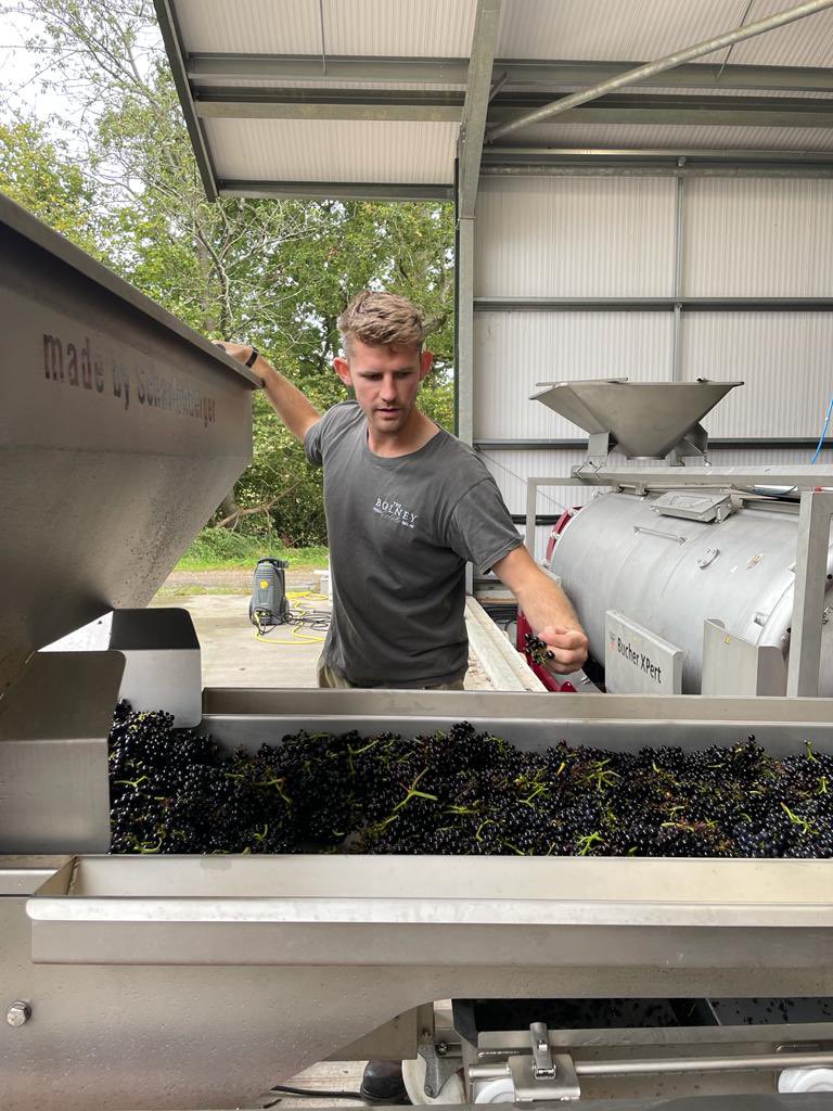 Helen Chesshire tweet media