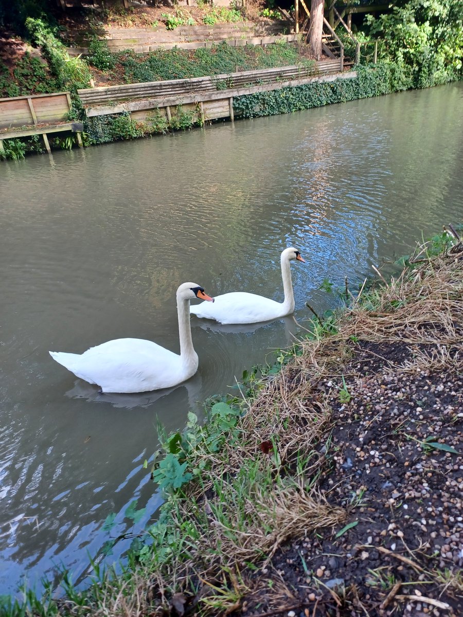 tracyhodge2's tweet photo. Another #friday & another fabby toddler walk; this time our 1st welly walk of the season! Brilliant walking from my 32mth old for walking 3miles brilliantly! They really enjoyed being out there & seeing everything! #notjustababysitter #EarlyYears @PACEYchildcare #nature β€οΈ https://t.co/WE34fZ3mcF
