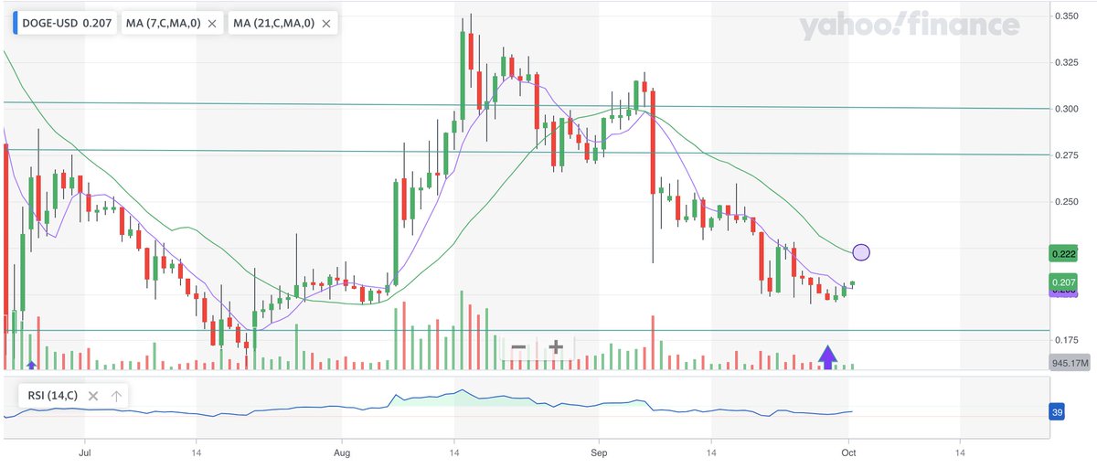 Dogekon's tweet photo. #Dogecoin Chart 1st Oct 21

- On chart the crypto looks positive for long run, the near future target is  $0.22 https://t.co/e1wFX0fhcJ