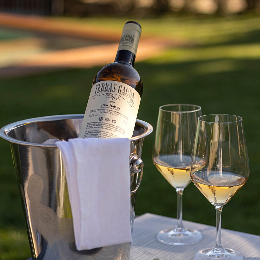 TerrasGauda's tweet photo. Viernes con V de vivir, viajar, vibrar. De vino: Terras Gauda 2020.
#BodegasTerrasGauda #TerrasGauda #Albariño #Caiño #Loureiro https://t.co/JIkX3333UC