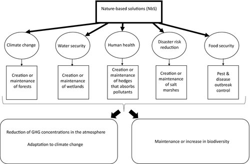 New #PolicyDirection piece in Journal of Applied Ecology (@BritishEcolSoc) identifies priorities for integrating #biodiversity and #ClimateChange science through #NatureBasedSolutions.

Full report 👉ow.ly/swBI50Gk1Ip