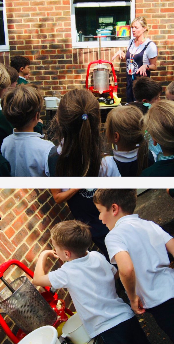 WittershamCEP's tweet photo. Smuggler class gathered apples from the trees on our school field. They then took turns to use an apple press and made fresh juice to share at snack time ππ π#Wittersham #HealthyEating #nature https://t.co/7VByr2kgDh