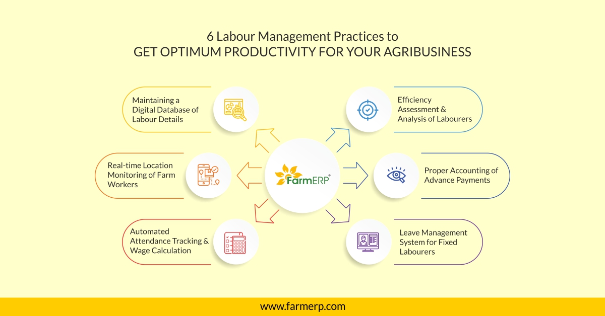 Farm_ERP's tweet photo. Check out the top 6 practices that can help you in streamlining labour management procedures. Step up workforce efficiency and boost the productivity of your agribusiness with #FarmERP.
https://t.co/j6A7qhefaw
#agricultural #labour #labourmanagement #software #agribusiness https://t.co/A7Yya6FbzE