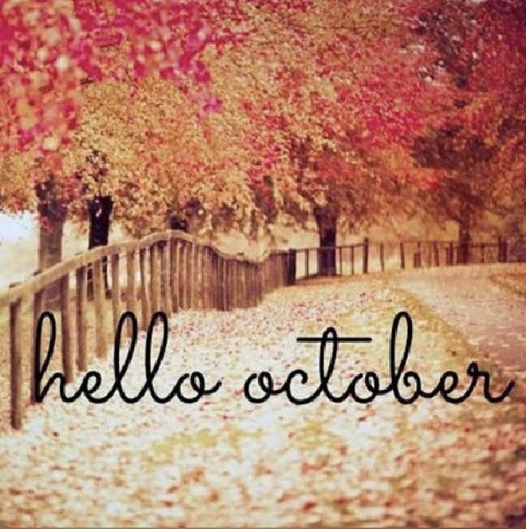 CCPSMathDept's tweet image. Happy Friday #CCPS #MATHTEACHERS!! Don’t forget to be fabulous 😃😃
#makingmathmatter #mathlife #ccpsdoesmath #mathmatters #friyay #HelloOctober #ccpswins