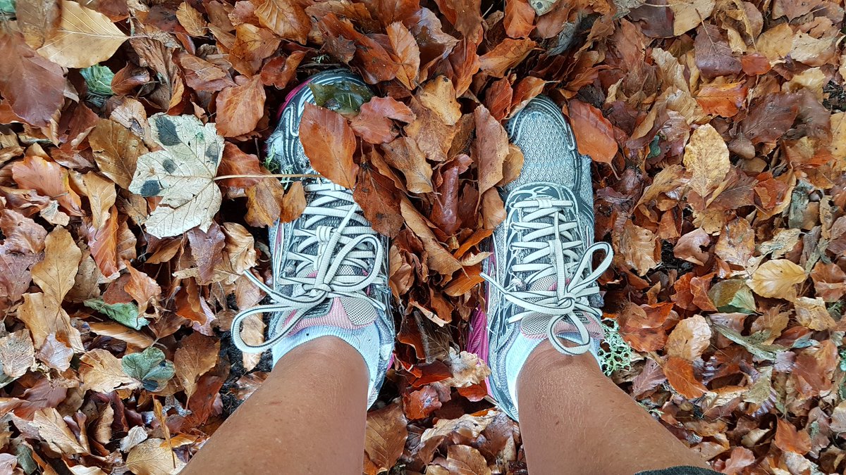 JackieMack999's tweet photo. And it's a wrap! #StepTembear 2021
🎯💯✔
Include 🚴‍♀️✔
Include ⛰✔
Raise funds for @sfrs_fst ✔
Thanks to all who have participated in, supported or donated to the event, each and every one of you is a 🌟
Next year?.... same time? same place? ... see you then 👍😁 x https://t.co/YHDq7uIOBH