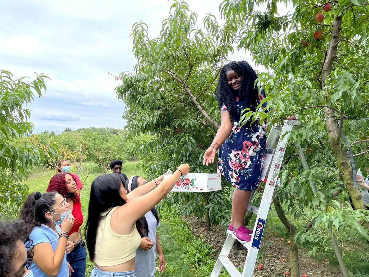 Where did the summer go? We were just picking  peaches 🍑and now its Apple Fest this weekend 🍏🍎.  #flashbackfriday