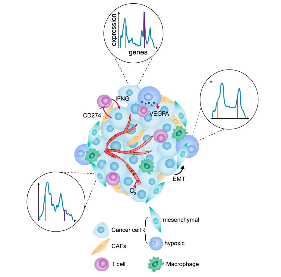 Itai Yanai tweet media