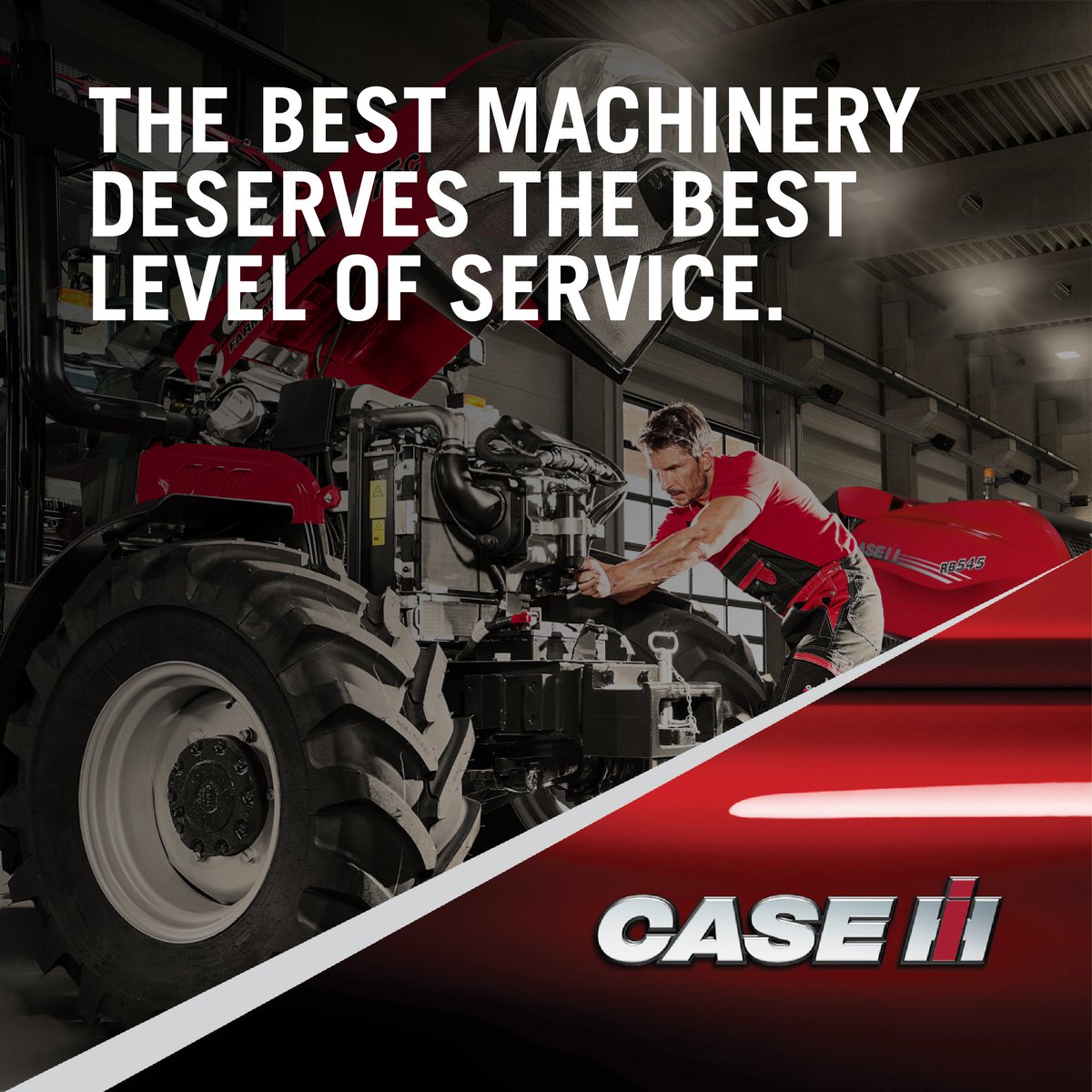 Lynch & McCarthy🇮🇪 tweet media