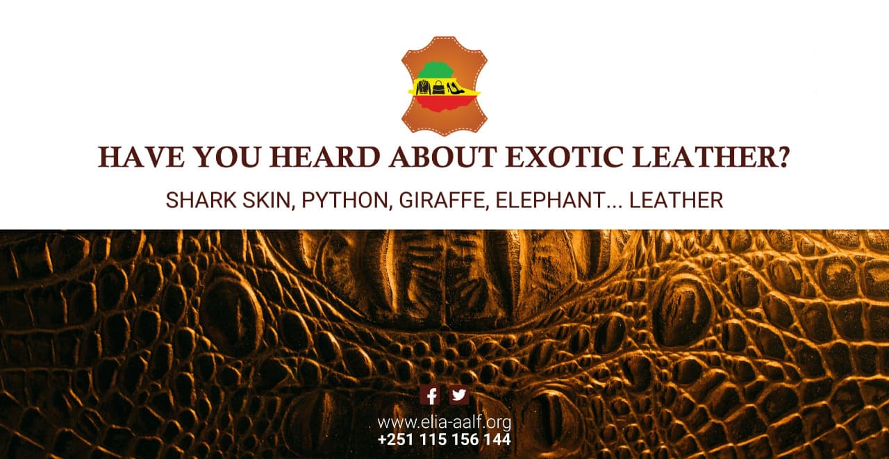 Ethiopian Leather Industries Association (ELIA) on Twitter: Ethiopian Leather Industries Association (ELIA) on Twitter: