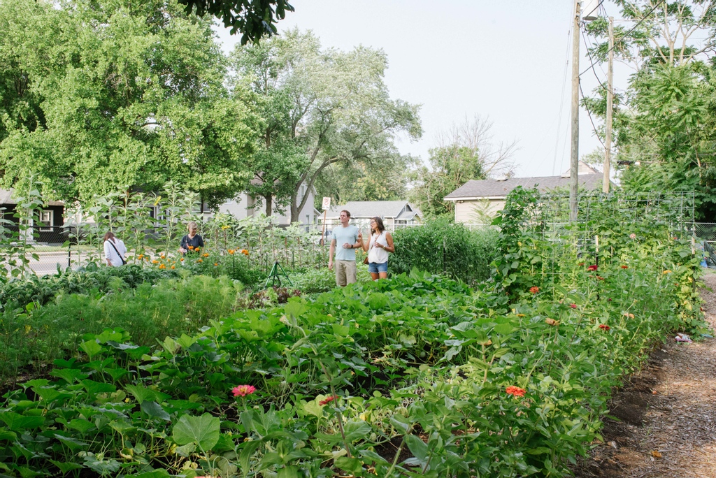 PublicGreens's tweet photo. Did you know @thepatachoufoundation has their own microfarm (plus chickens!) at their HQ at Marcy Village? @katefranzman and team have worked so hard on it over the last couple years... and the payoff is 😍😍😍 https://t.co/NbD3wkt9pi