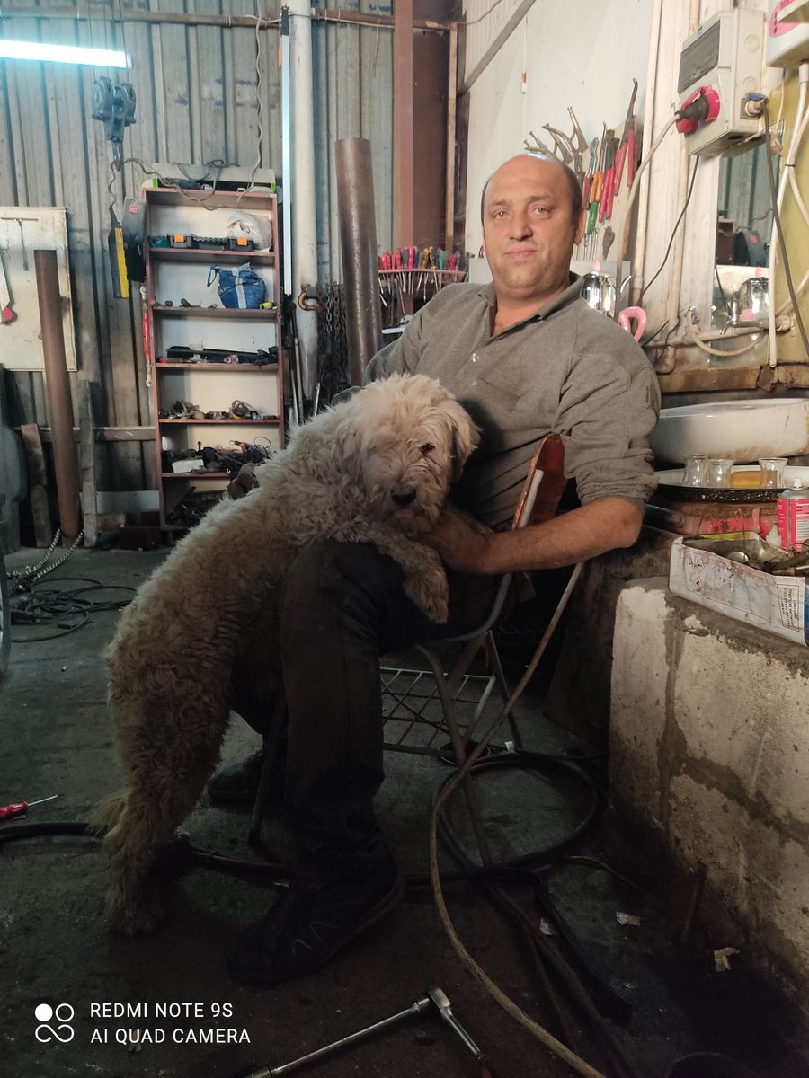 Arif (@arif65036179) on Twitter photo 