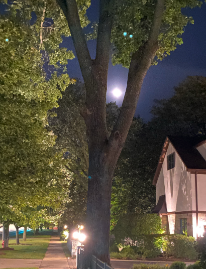 BAvaian's tweet photo. The sky has been amazing this week.  I love taking walks at night! :)

·

#CMN3980 #PantherPR #photographer #photo https://t.co/HyZre0lqS6