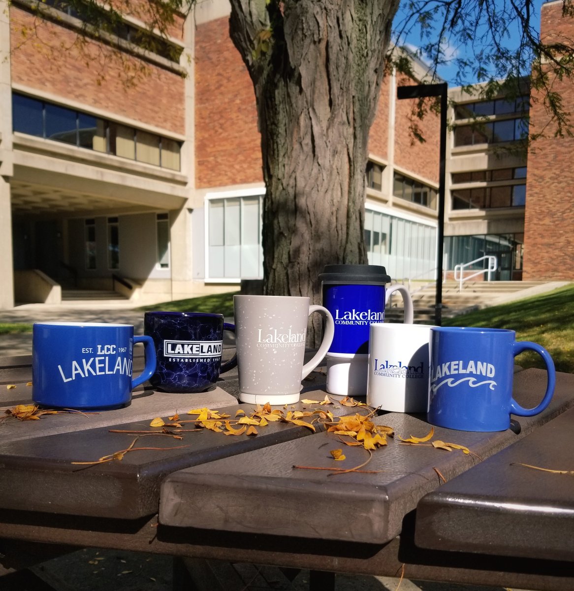 LCCBookstore's tweet photo. The only question is which mug do you put your pumpkin spice in- Happy Pumpkin Spice Day from the bookstore!
#lccbookstore #college #mugs #pumkinspiceday https://t.co/9K865w32tT