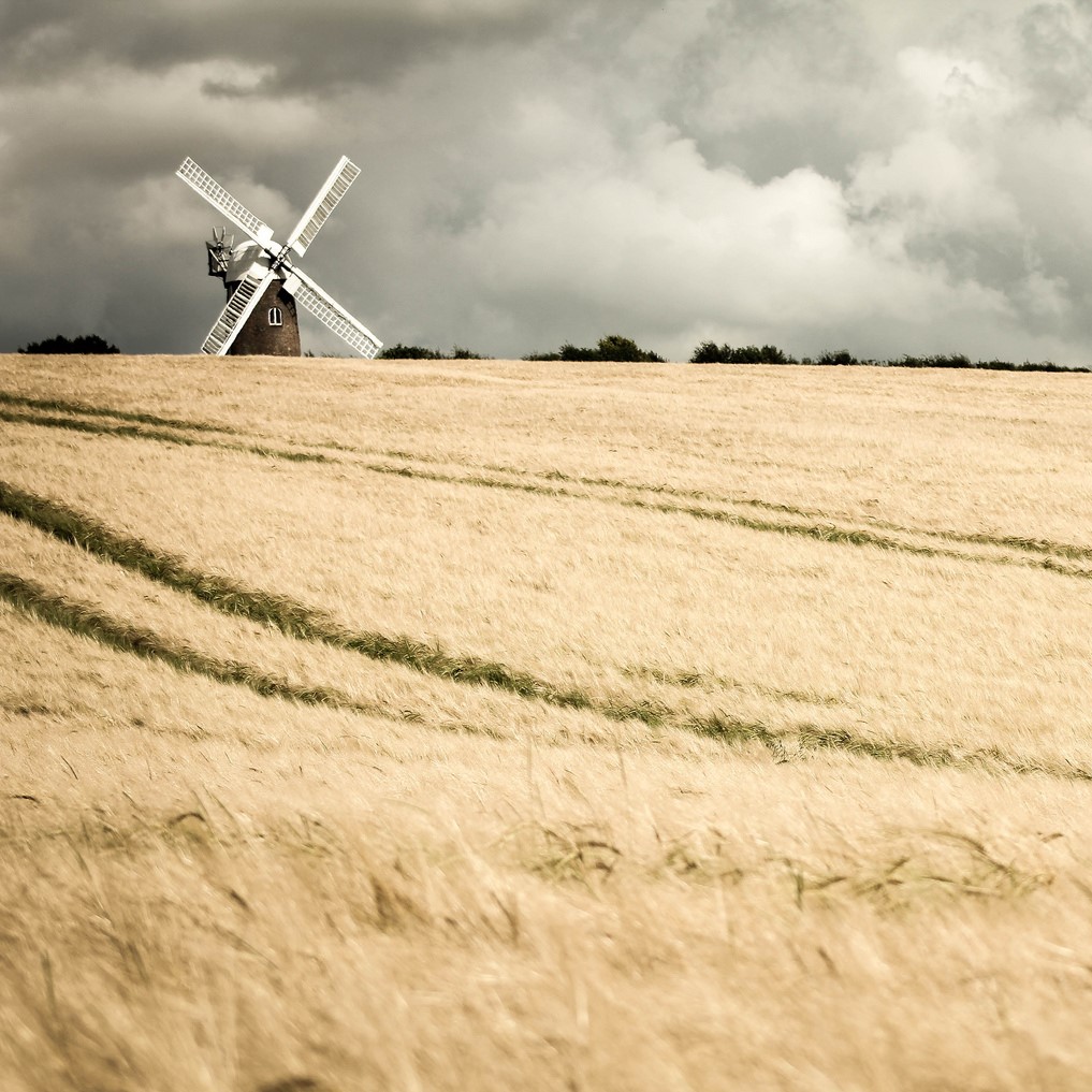 The 2nd Farming in Protected Landscapes webinar is on 9 Nov. If you're a farmer or land manager in or near the #northwessexdownsaonb or other designated landscape, this is for you!
bit.ly/3FancEE 
#northwessexdowns #wiltshirefarming #hampshirefarming #berkshirefarming
