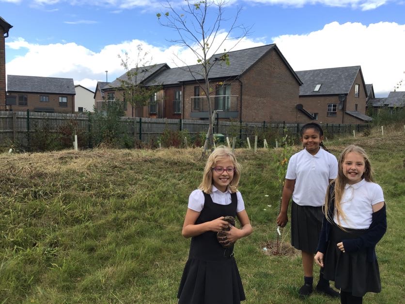 OGSPrimary's tweet photo. Year 5 students enjoyed creating our very own wildflower meadow using the seed bombs they made for the Great Big Green Week. https://t.co/zIzZFWUD6g