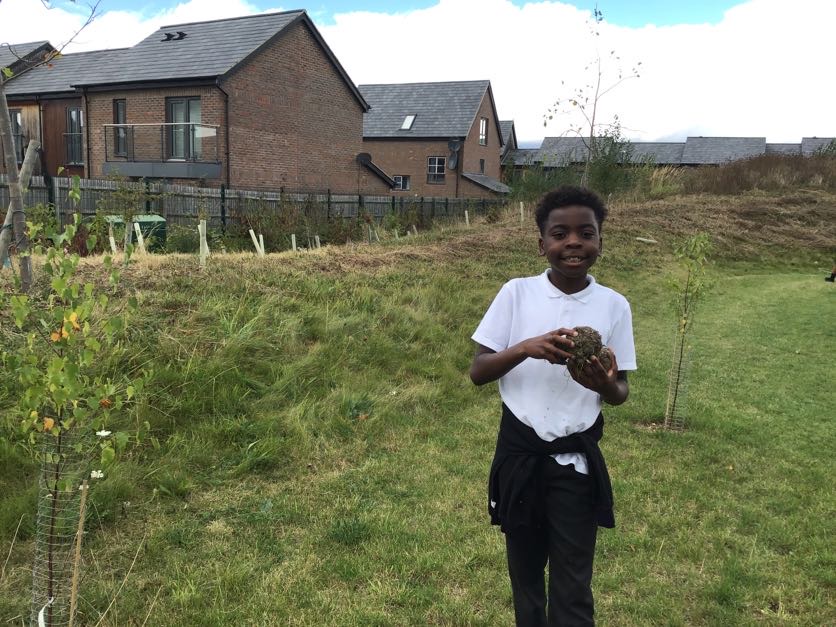 OGSPrimary's tweet photo. Year 5 students enjoyed creating our very own wildflower meadow using the seed bombs they made for the Great Big Green Week. https://t.co/zIzZFWUD6g