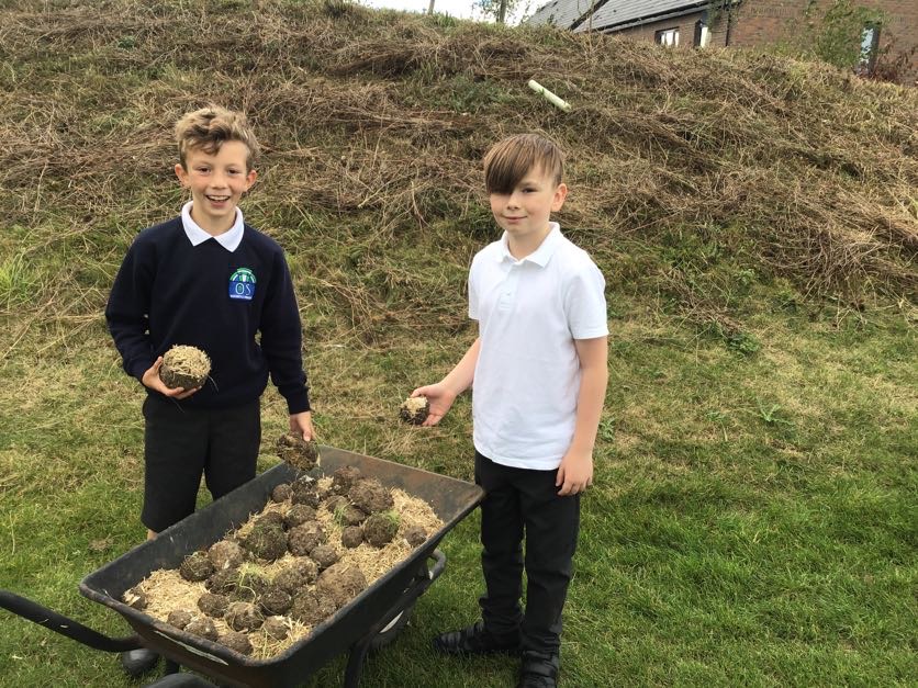 OGSPrimary's tweet photo. Year 5 students enjoyed creating our very own wildflower meadow using the seed bombs they made for the Great Big Green Week. https://t.co/zIzZFWUD6g
