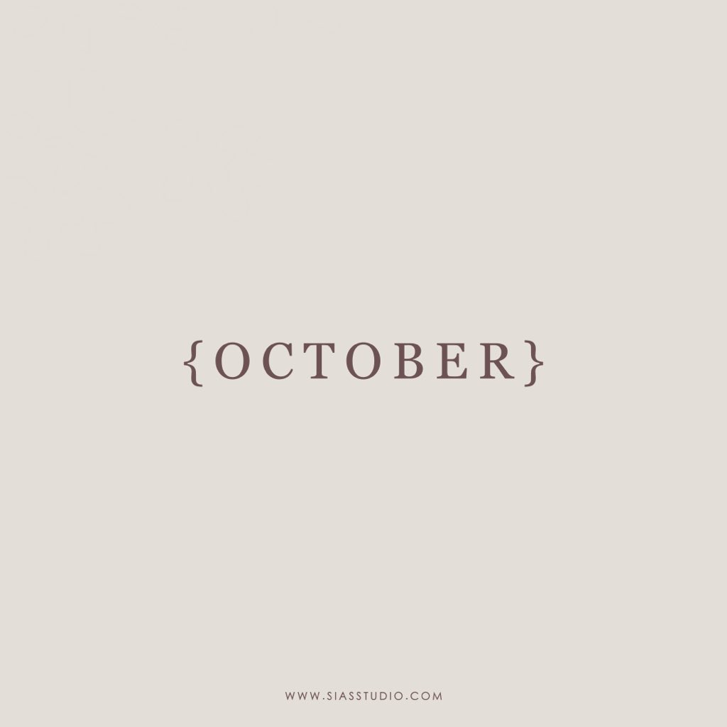 Sias Studio tweet media