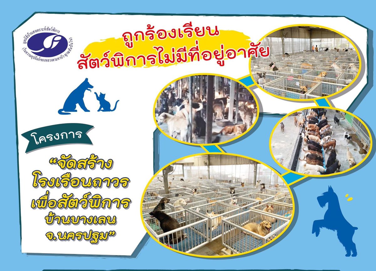 bepaiss4's tweet photo. แก้วเก็บความเย็นลายแพทริค เราจะนำกำไรส่วนหนึ่งมอบให้กั��โครงการสร้างโรงเรือนให้สัตว์พิการบ้านบางเลน จ.นครปฐ
ราคาใบละ 300 บาท
ปิดรับวันที่10/10/21 เวลา00.00 น.

https://t.co/5mqVOEW0In

ตัวอย่างสินค้าสินค้าใต้เมนชั่น
#แพทริคเพื่อสัตว์พิการ #แพทริค #INTO1Patrick https://t.co/f1qnKs4MOq