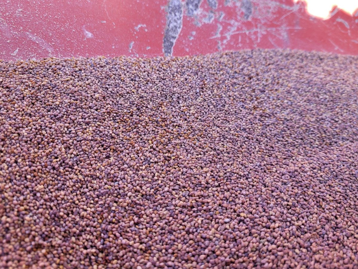 Hauke Claussen tweet media