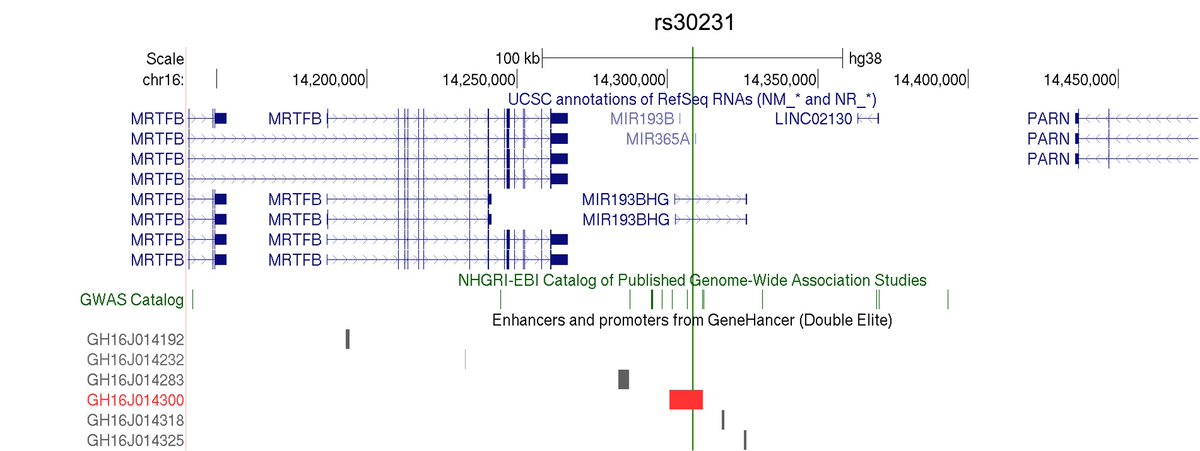 @saorisakaue @NatureGenet Wonderful paper! Our lincNORS (miR193BHG shows up nicely in connection with height but has a new association, PP (pulse pressure). @GWAS_lit @GWASLibrary @GWASCatalog @Heart_lncRNA @RnaLnc @NatureRevGenet 49 GWAS studies and counting, yet only one functional paper.