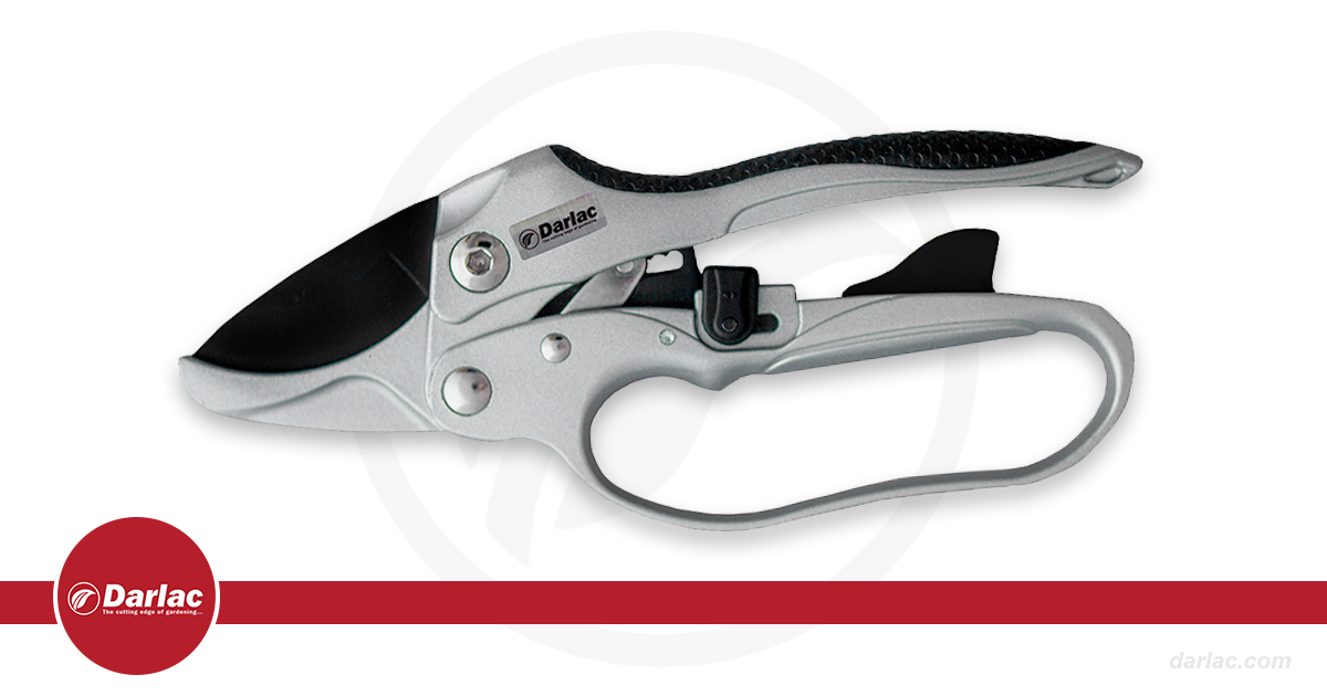 DarlacGardening's tweet image. Our amazing Dual Action Pruner has a ratchet system that engages automatically depending on the thickness of the branch you’re cutting. Perfect for those autumn pruning jobs that are starting to build up!

darlac.com/product/dp747/

#gardening #pruners #secateurs #autumnpruning