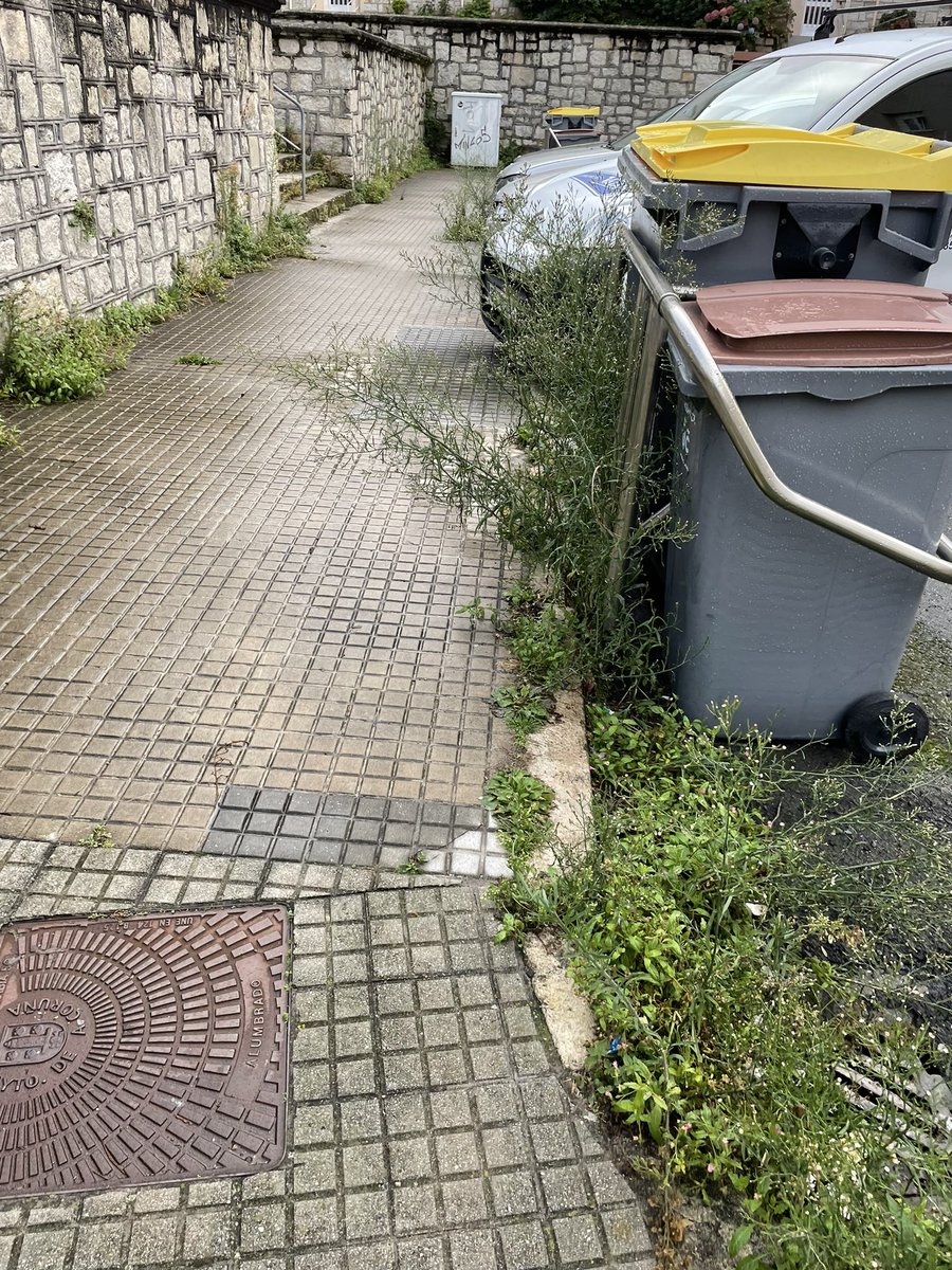 Labañou tweet media