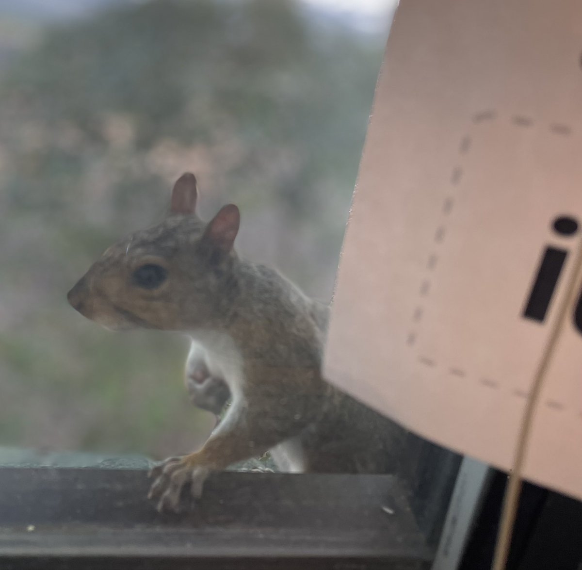 Deanna Leake tweet media